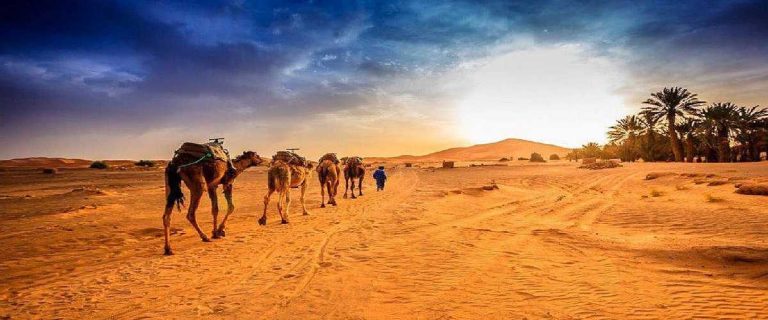 Tourists enjoying camel trekking and sandboarding during a Merzouga tours activities tour in the Sahara, Morocco.