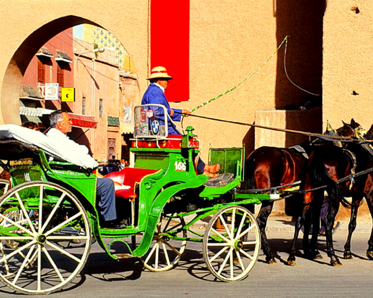 13-Day Morocco Tour from Tangier