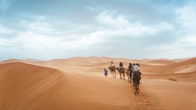 Activities Starting from Marrakech Camel Rides