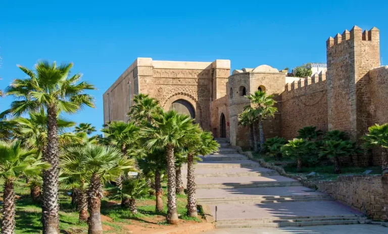 Best Tours in Morocco