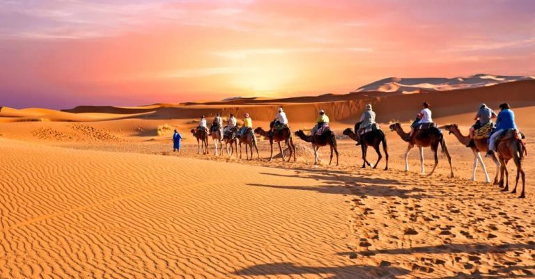 Camel trek through the golden dunes of Erg Chebbi with luxury