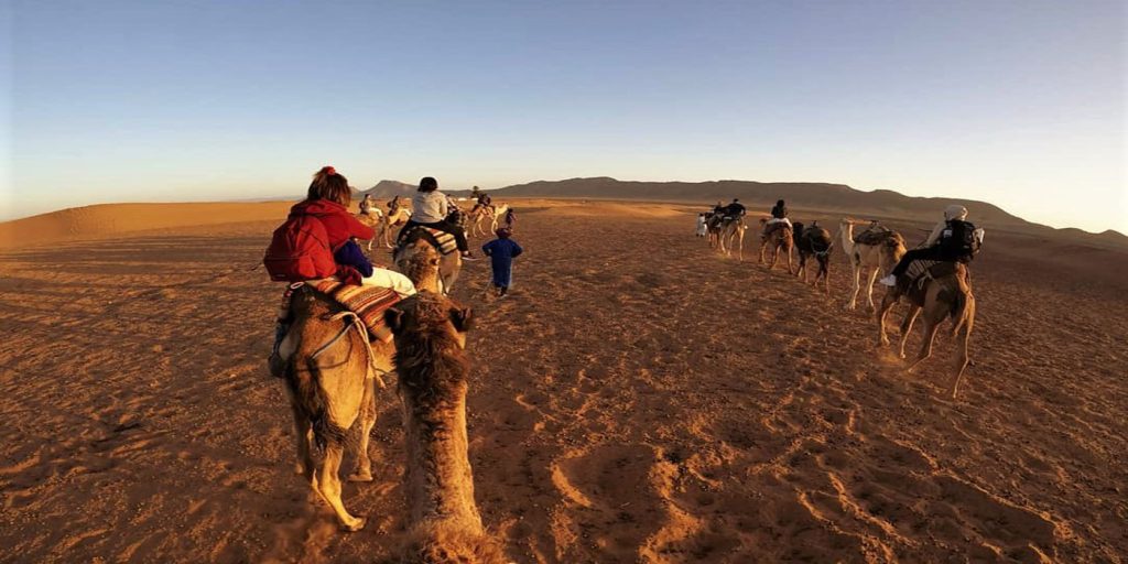 Camel trek through the Sahara Desert near Zagora, a classic desert adventure in Morocco.