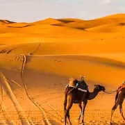 Voyageur dans le désert du Sahara,