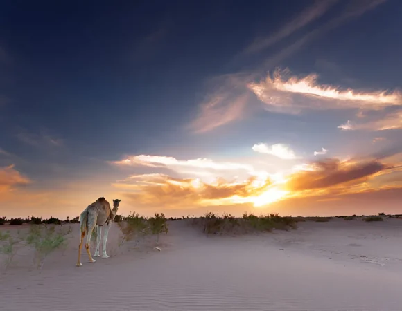 2 days Zagora desert tour from Marrakech