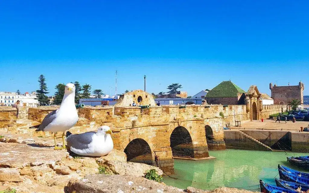 Ponte di pietra e porto sulla costa marocchina – Tour del Marocco di 11 Giorni da Casablanca