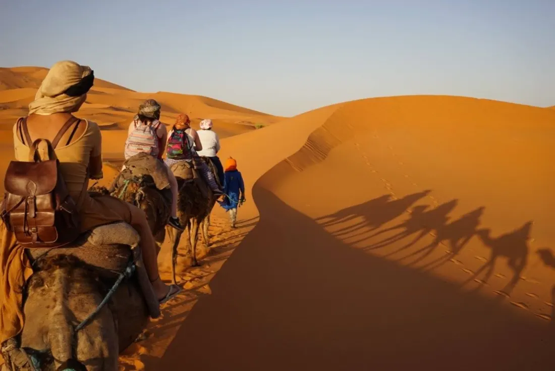 Ombre di dromedari su una duna del Sahara – Tour nel Deserto di 3 Giorni da Fes a Marrakech