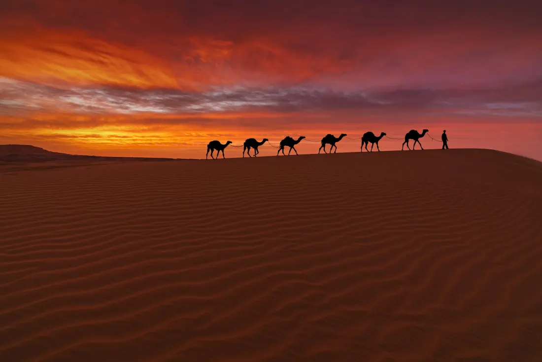 Caravana de camelos sob um céu vermelho do deserto – Viagem de 3 dias ao deserto de Errachidia a Merzouga
