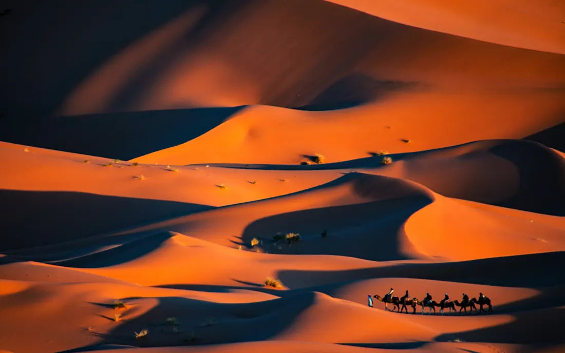 Ombre e curve delle dune del Sahara – Tour nel Deserto di 3 Giorni da Ouarzazate a Marrakech