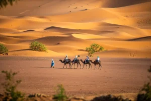 Caravana de camelos a atravessar as dunas de Erg Chebbi – Viagem ao deserto de 3 dias de Errachidia a Fez