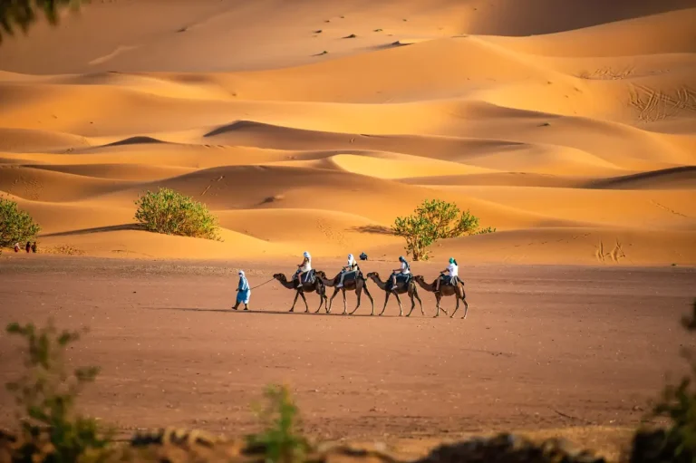 Caravana de camelos a atravessar as dunas de Erg Chebbi – Excursão ao deserto de 3 dias de Errachidia a Fez