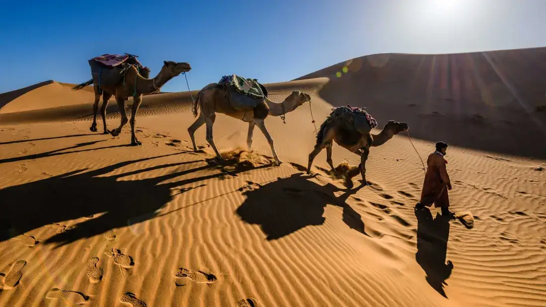 Dromedari e ombre sulle dune di sabbia – Tour nel Deserto di 4 Giorni da Fes a Marrakech
