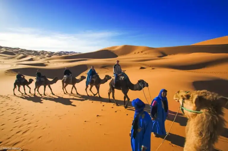 Guias berberes e camelos nas dunas do Saara – Viagem de 6 dias a partir de Casablanca