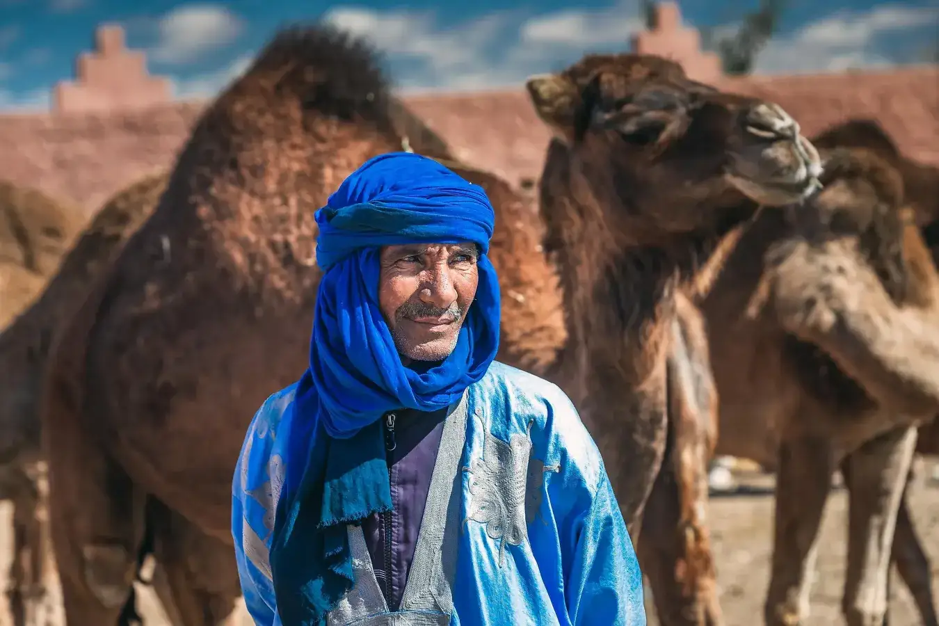 Sobre a Traveling Morocco: caravana a atravessar o Saara