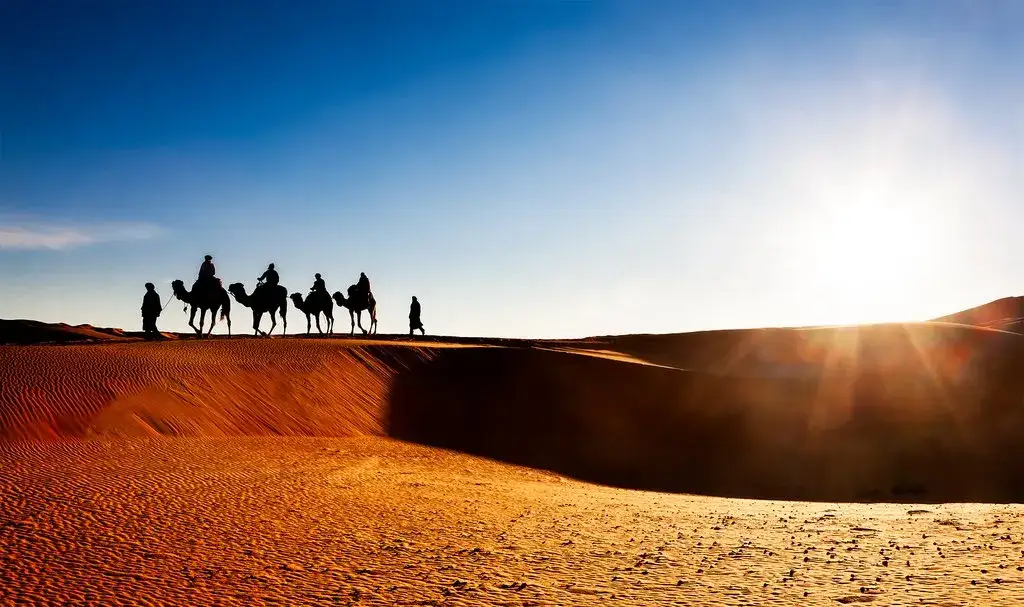 Carovana di dromedari all’alba nel deserto – Tour del Marocco di 8 Giorni da Casablanca