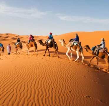 shutterstock_390168529-1024x683