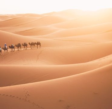 sunset-camel-ride-morocco-desert