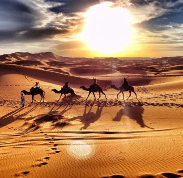 sunset-camel-tour4